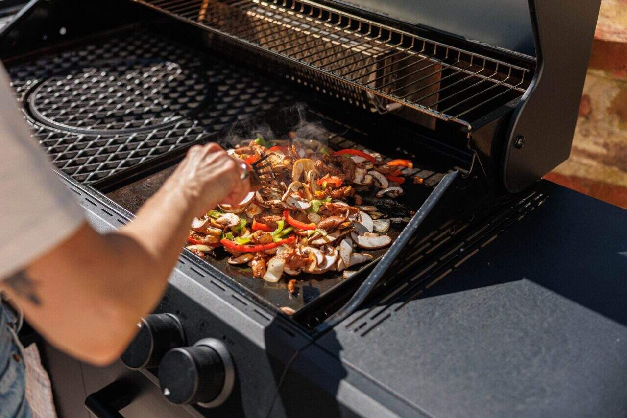 Fromage de Vegan dans la planche sur la plancha