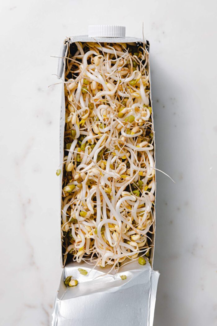 Cultivez vos propres germes de haricot mungo à moindre coût – à partir du carton de lait (végétal)