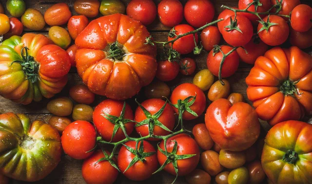 Comparaison entre tomate cerise et tomate ordinaire : laquelle est la plus bénéfique pour la santé ?